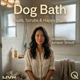 Dog Bath - Shampoo Showdown: Picking the Right Products for Your Pup