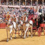 "Lo que va a verse es un museo dinámico en Sevilla"