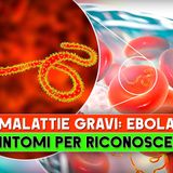 Malattie Gravi, Ebola: I 5 Sintomi Per Riconoscerla!