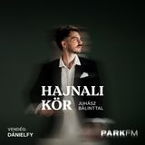 Dánielfy: Gyermekkori álmom volt, hogy egyszer a Park Nagyszínpadán zenélhessek | Park FM – Hajnali Kör