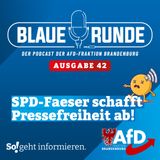 SPD-Faeser schafft Pressefreiheit ab! | Die Blaue Runde, Ausgabe 42/25 vom 17.07.2024