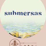 Rubrica Palavra do Autor - Submersas