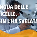 La lingua delle particelle. Faggin l’ha svelata!
