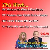 Radio 2SM Breakfast Segment #7 with Kaye Browne
