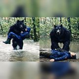 A Dogman Pulled Him From the River… Then Stalked Him for 7 Nights