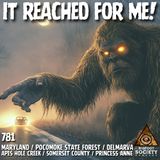 Eastern Shore Bigfoot: A Lifetime of Sightings