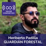 Guardián Forestal: tecnología geoespacial contra la deforestación del aguacate