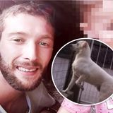 Nicola è morto, ora Ice cerca casa. Pur spaventato, non ha lasciato il suo padrone ormai esanime