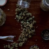 Understanding Marijuana Awareness Education Online in Idaho