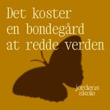 Derfor investerer Sylvester i jord