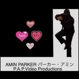 All 3 of The Amin Parker Series 2024 major theme songs