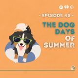 5: The Dog Days of Summer