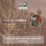 Com Safra recorde de grãos Brasil pode ampliar participação no mercado agrícola internacional