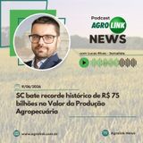 Safra 2026/27 exigirá mais gestão financeira no campo