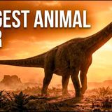 70 Tons on Four Legs_ The True Story of Earth_s Biggest Creatures)