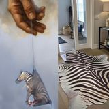 Dancing Naked At 35,000 ft.; Ed The Zebra On The Loose; & Truck Nuts Ban In Idaho