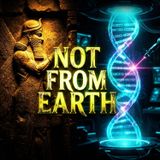 Rh-Negative Origins: Is Your DNA a Non-Human Genetic Experiment?