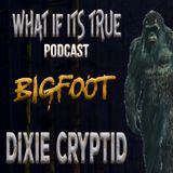 Archive 16 Bigfoot Encounter