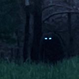 TBR EP:312 Bigfoot Kings from Arkansas