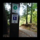 Exploring the Merriman Trail