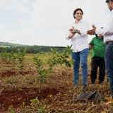 Citrus Patrimonial El futuro de las inversiones también crece en el campo mexicano