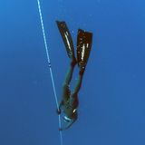 Davide Carrera, campione di free diving: «Vi racconto la mia vita in apnea»