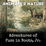 Adventures of Puss in Boots Jr - David Cory