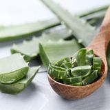 Savor the Benefits Tasty Aloe Vera Recipes You Need to Try