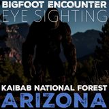BIGFOOT EYE SIGHTING ENCOUNTER IN THE KAIBAB NATIONAL FOREST (MOGOLLON RIM) THE RED GLOWING EYES!