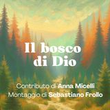 136 - Il bosco di Dio | Anna Micelli