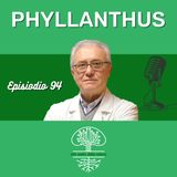 Phyllanthus