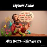 Alan Watts- What you are