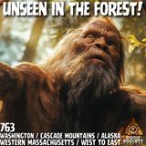 Tracking Sasquatch: From Alaska to Massachusetts