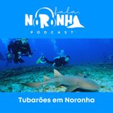 #Ep 9 - Tubarões em Noronha