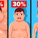 What Every Body Fat Percentage Level Actually Looks Like