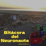 🌊✨ Bitácora del Neuronauta -Lección 12  Drama-free zone activated. 🛑💅