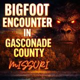 Bigfoot Encounter Near the Bourbeuse River, Missouri | Gasconade County Sighting | Missouri Bigfoot