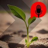Czy rolnictwo to dobra nisza dla inżynierów?
