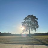 Inspire Hour Podcast-Whole Woman Living - Made with Calliope