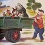 Super-Glued Teeth; Catfishing Fishermen; and Hamstering On A Sunroof