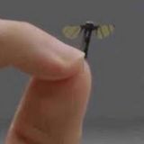 Microdrón Chino_ El Futuro de la Inteligencia Militar