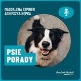 Wyglądają podobnie, ale kundelek to nie to samo co mieszaniec