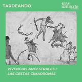 Vivencias Ancentrales :: Las gestas cimarronas