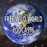 Tina Nel  - A Paradigm Shift - Is It Happening Now? - Free Wild World Podcast #17