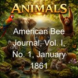 American Bee Journal Vol I No 1 January 1861 - Various