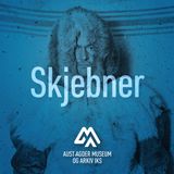 24. Skjebner