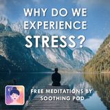 Managing Stress | 💆 Why do We Experience Stress 💚 | Mindfulness Meditation for Stress Relief