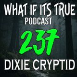 Archive 237 UFOs & Bigfoot