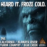 The Night the River Spoke: A Yurok Man’s Bigfoot Encounter