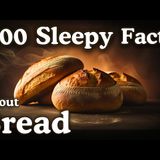 The Most Relaxing Facts About Bread to Fall Asleep To _ No Adverts